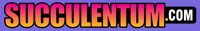 Succulentum
